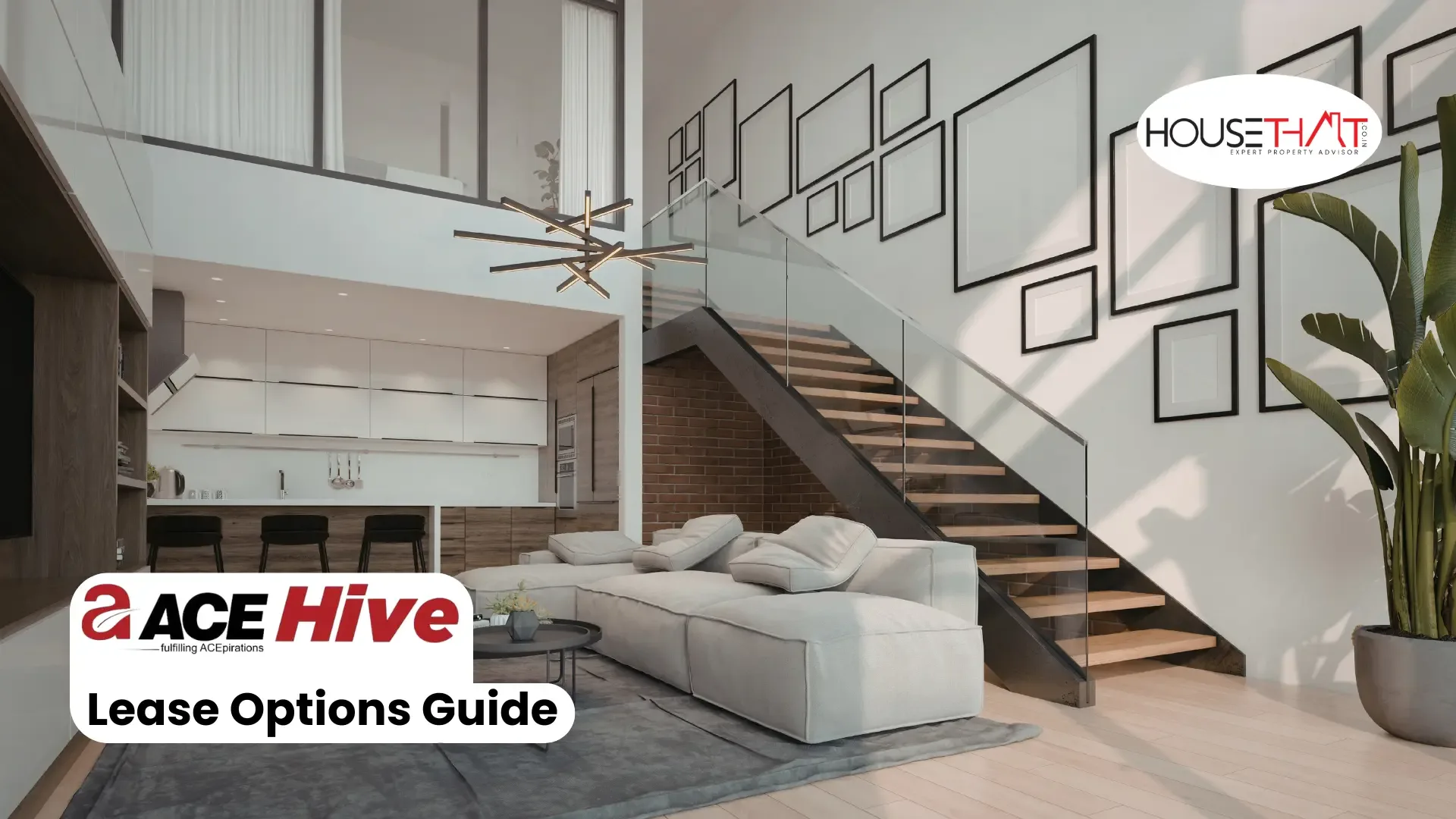 ACE Hive Lease Options Guide