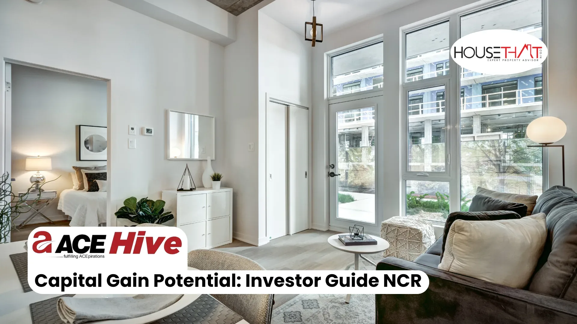 ACE Hive Capital Gain Potential: Investor Guide NCR