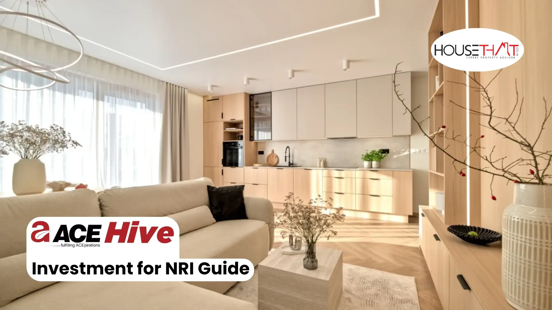 ACE Hive Investment for NRI Guide