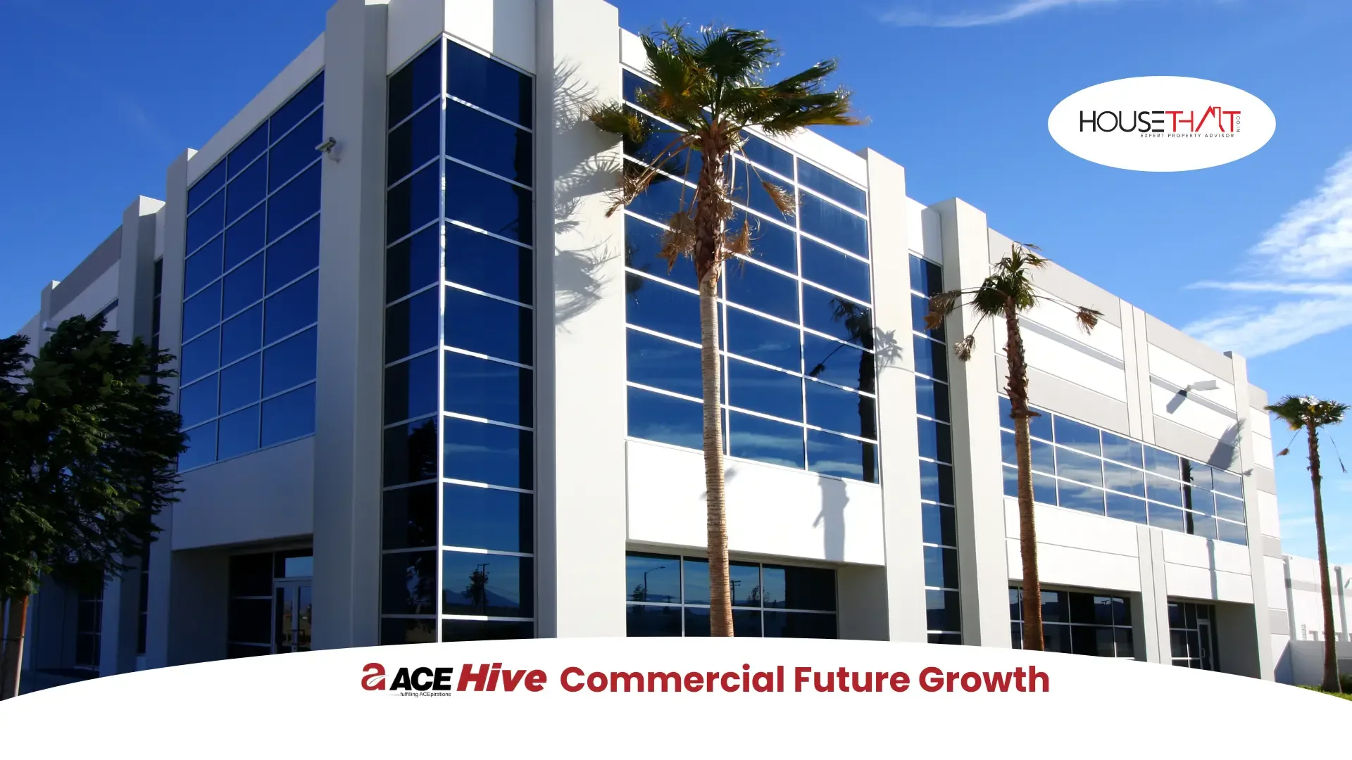 ACE Hive Commercial Future Growth
