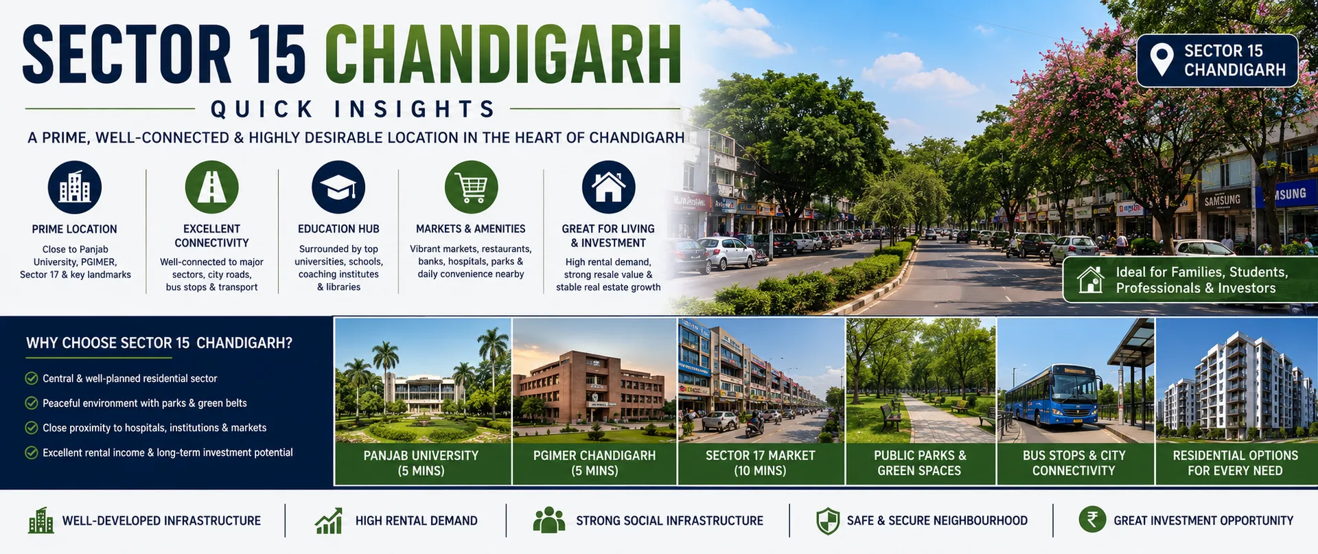 Sector 15 Chandigarh - Quick Insights