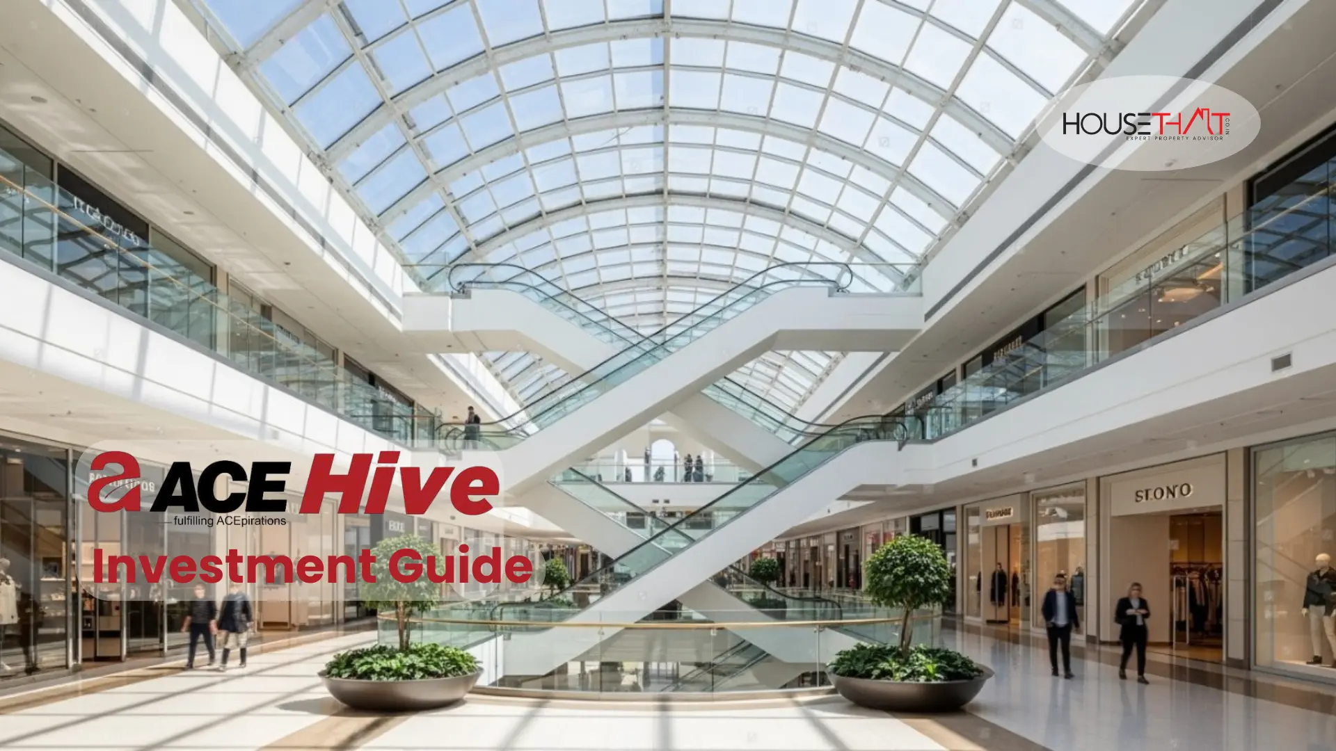 ACE Hive Investment Guide with House That Insights