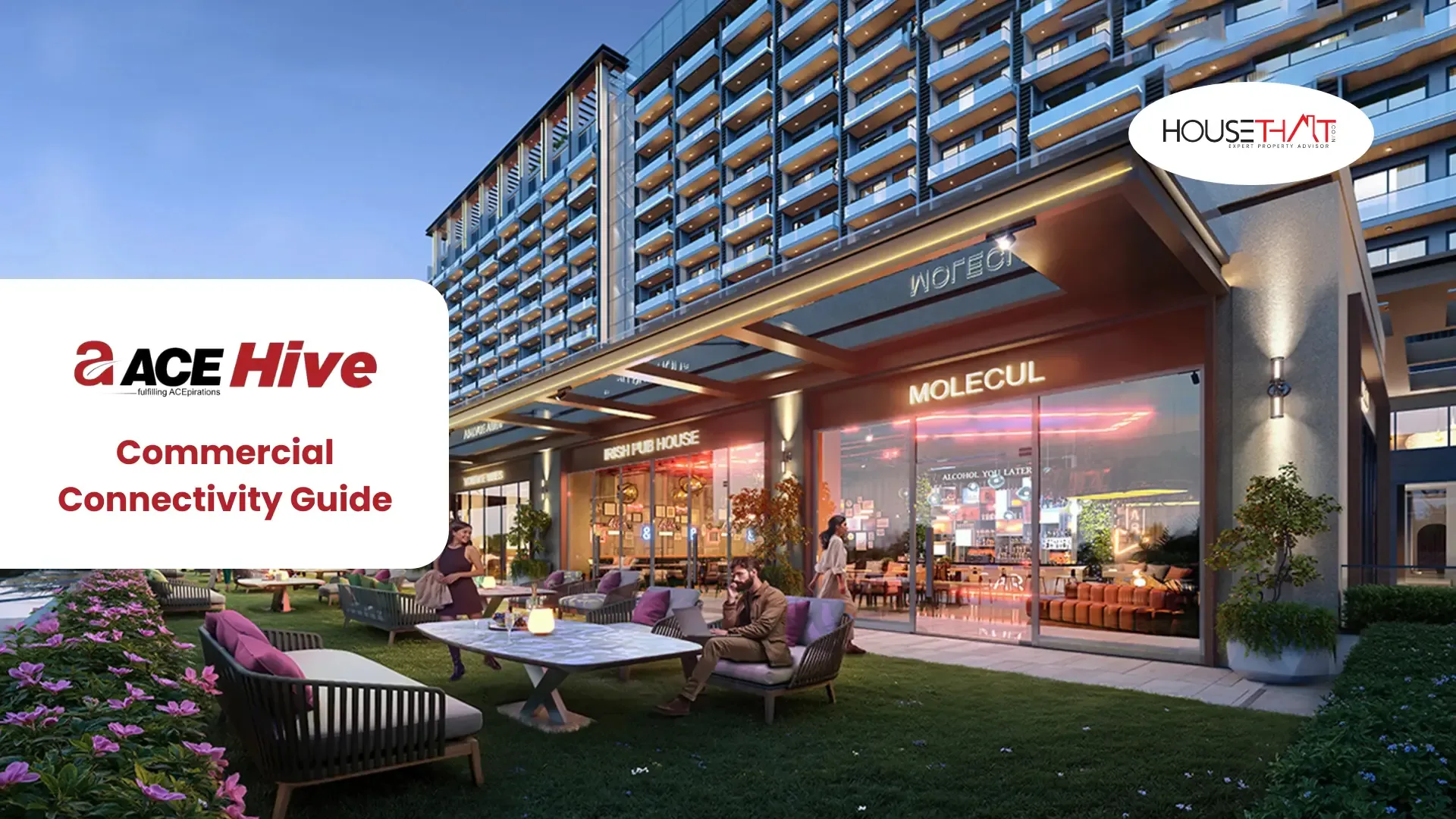 ACE Hive Commercial Connectivity Guide