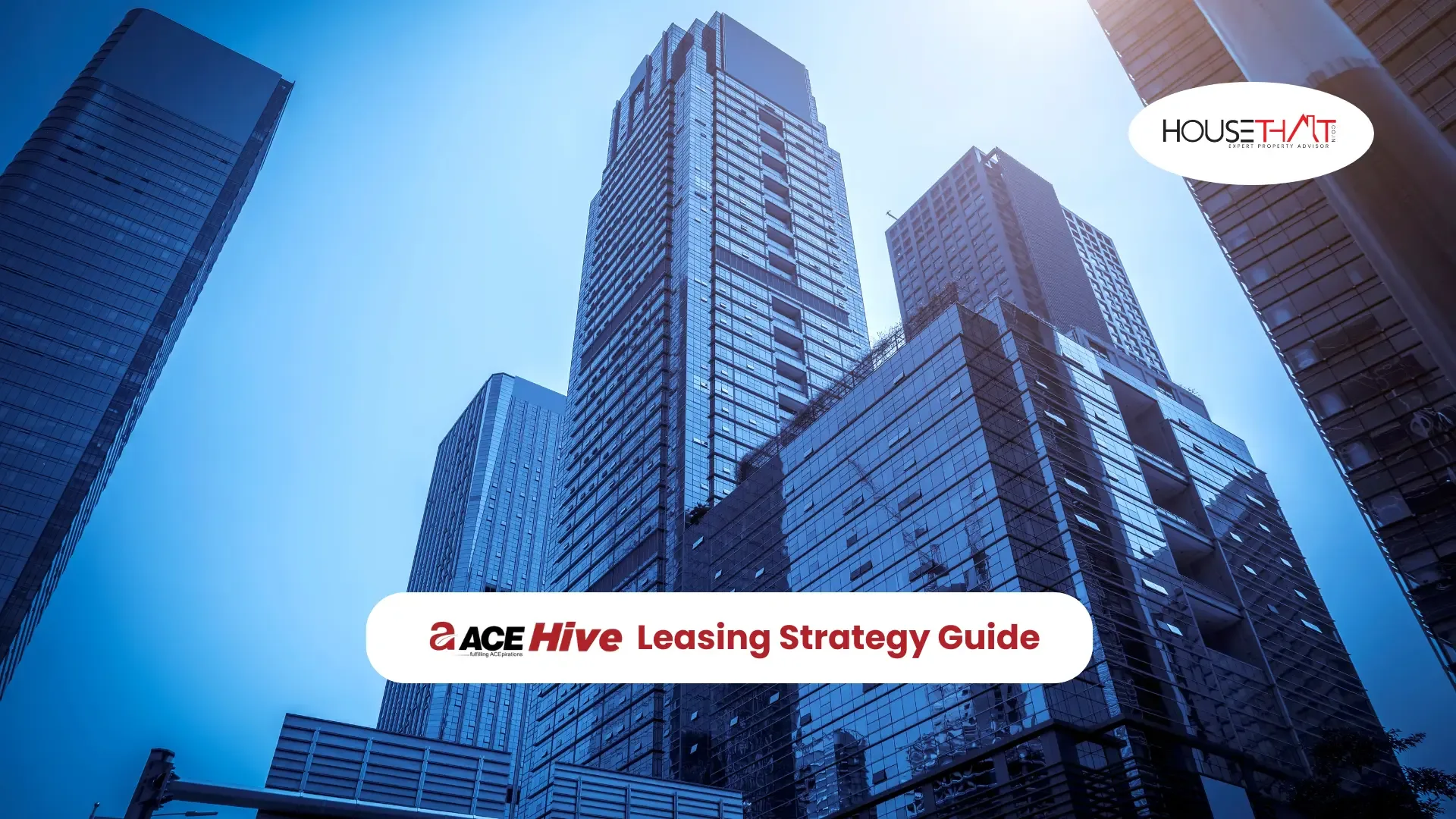 ACE Hive Leasing Strategy Guide