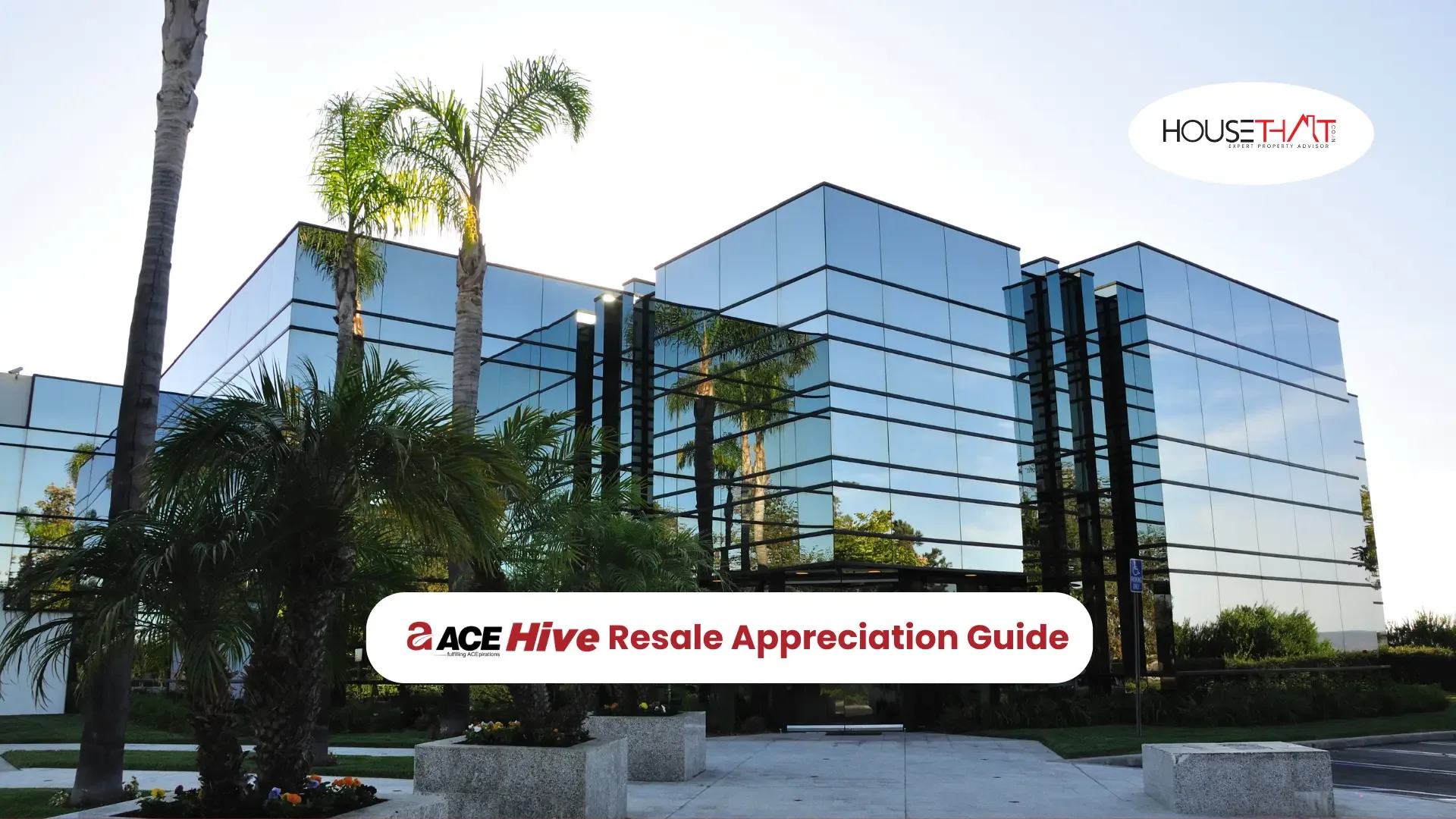 ACE Hive Resale Appreciation Guide