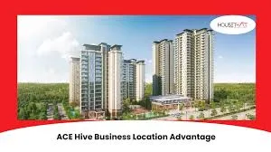 ACE Hive Shop Demand 2026