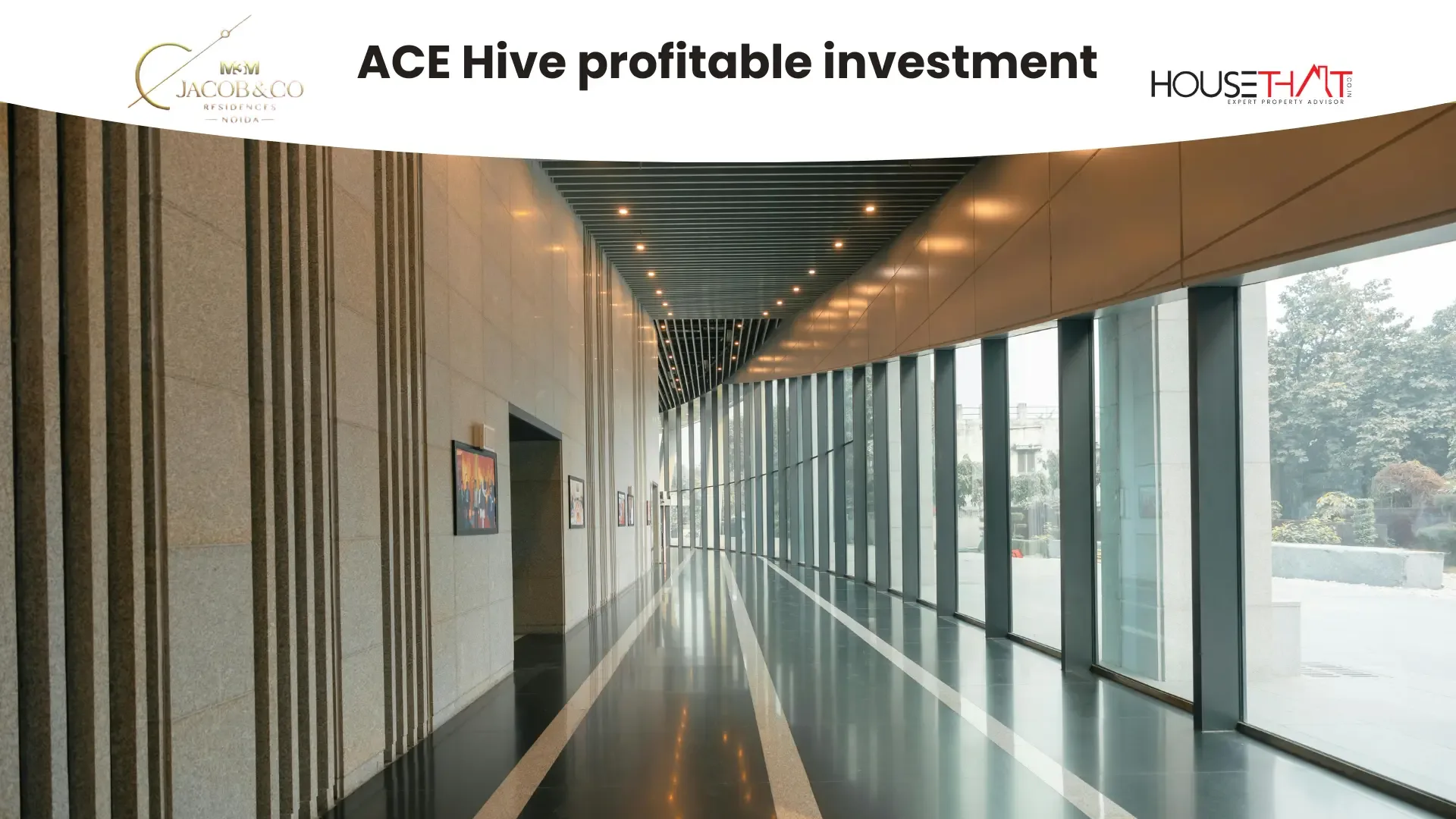 ACE Hive profitable investment