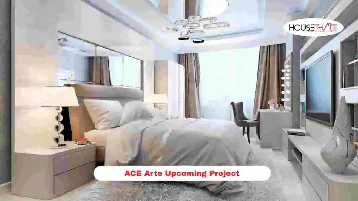 ACE Arte Upcoming Project