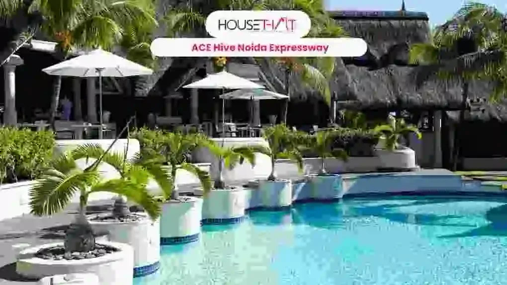 ACE Hive Noida Expressway: Price, Location, Amenities and Investment Overview